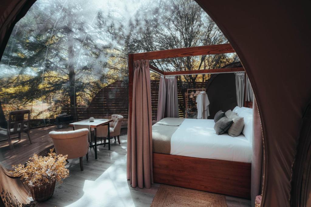 Interior de una habitación tipo burbuja con cama con dosel, sillas acogedoras y vistas panorámicas al bosque a través de paredes transparentes