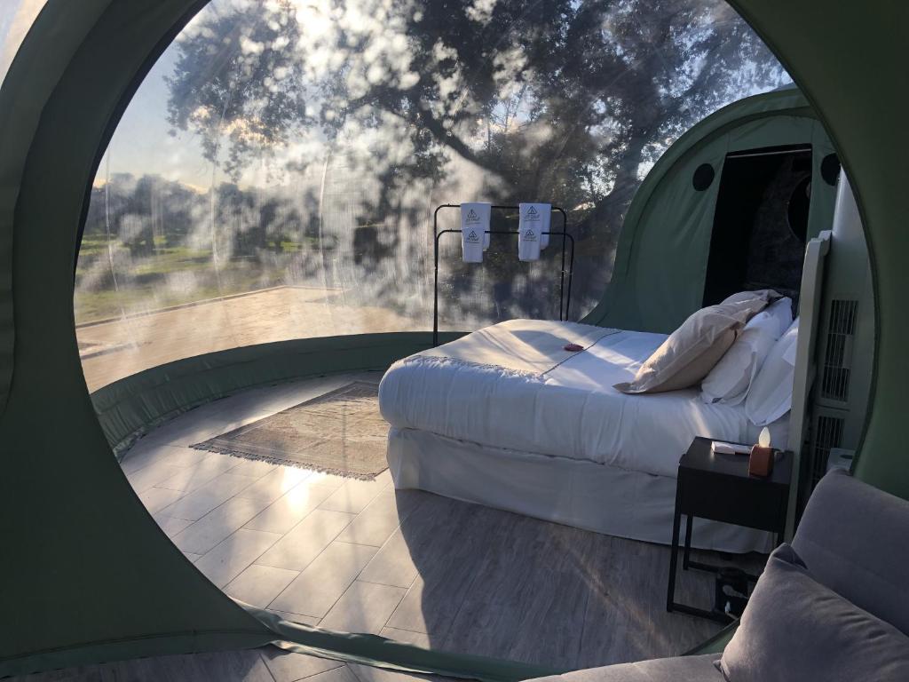 Interior de un hotel burbuja con cama doble, suelo de madera y vistas panorámicas a la naturaleza al atardecer