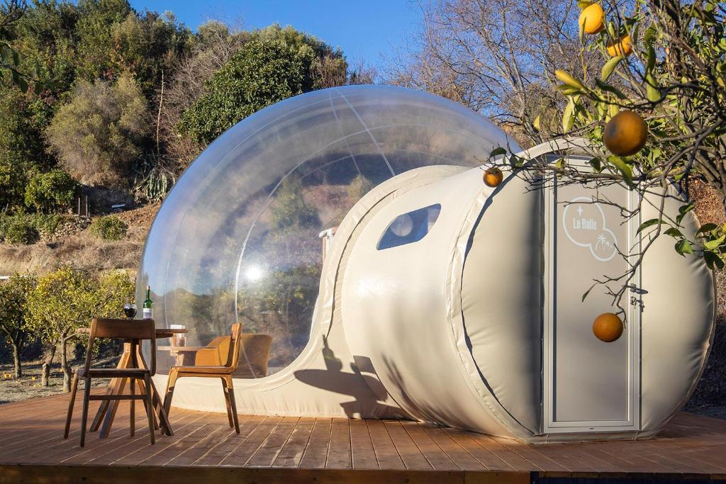 Hotel burbuja transparente con terraza de madera, mesa con sillas y rodeado de árboles frutales en un entorno natural