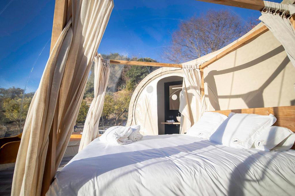 Interior de un hotel burbuja con cama grande, cortinas y vistas panorámicas a la naturaleza a través de paredes transparentes